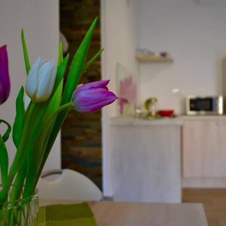 Zsizelle Rezidence Apartment Brasov Luaran gambar