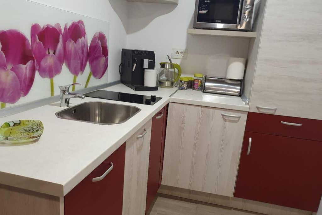 Zsizelle Rezidence Apartment Brasov Luaran gambar