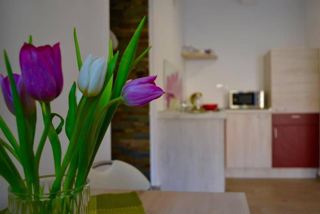 Zsizelle Rezidence Apartment Brasov Luaran gambar