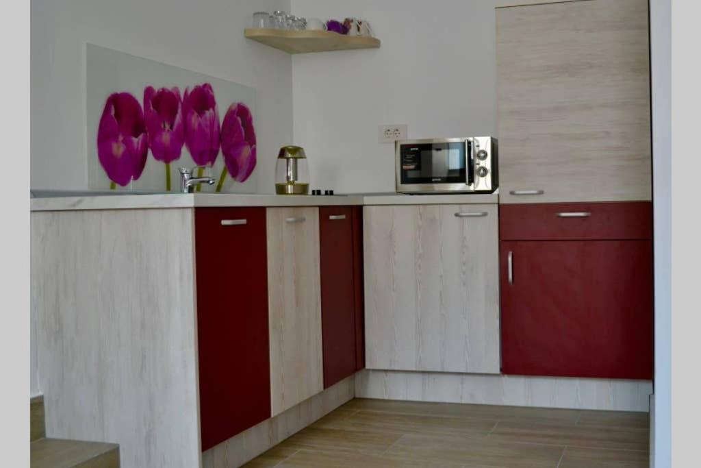 Zsizelle Rezidence Apartment Brasov Luaran gambar