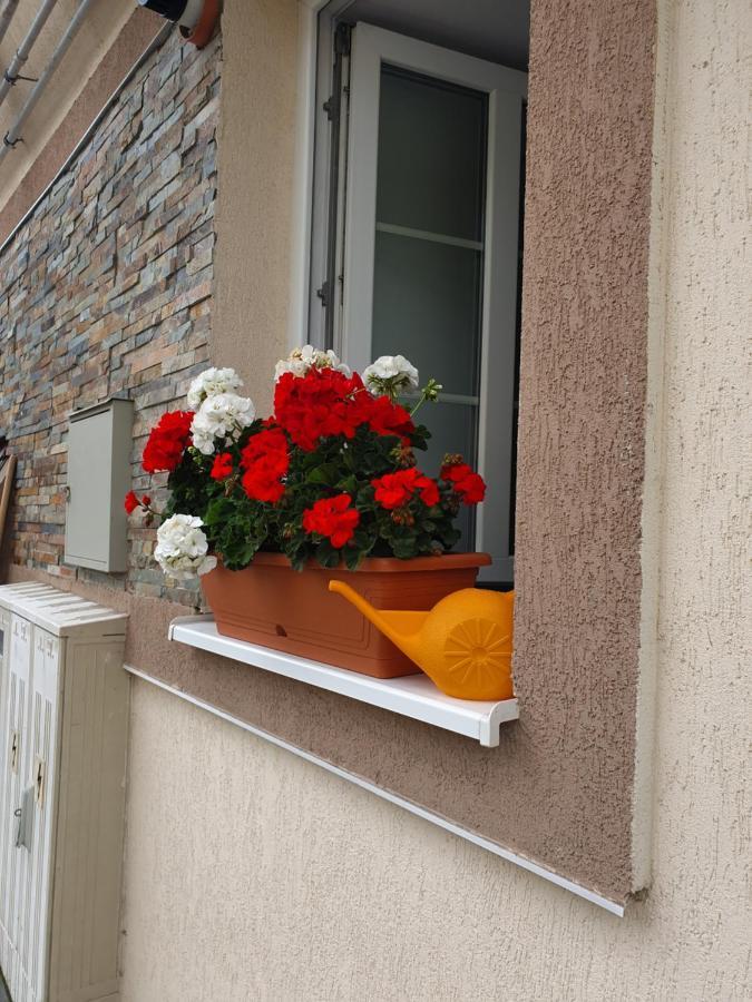 Zsizelle Rezidence Apartment Brasov Luaran gambar