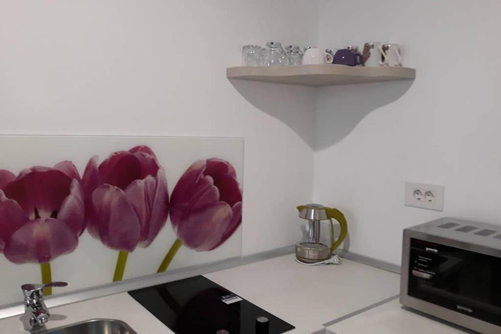 Zsizelle Rezidence Apartment Brasov Luaran gambar